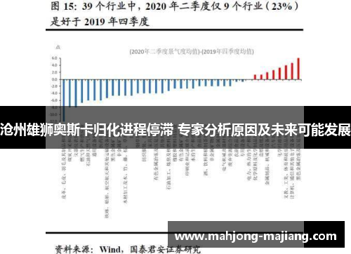 沧州雄狮奥斯卡归化进程停滞 专家分析原因及未来可能发展 沧州雄狮奥斯卡归化进程停滞 专家分析原因及未来可能发展